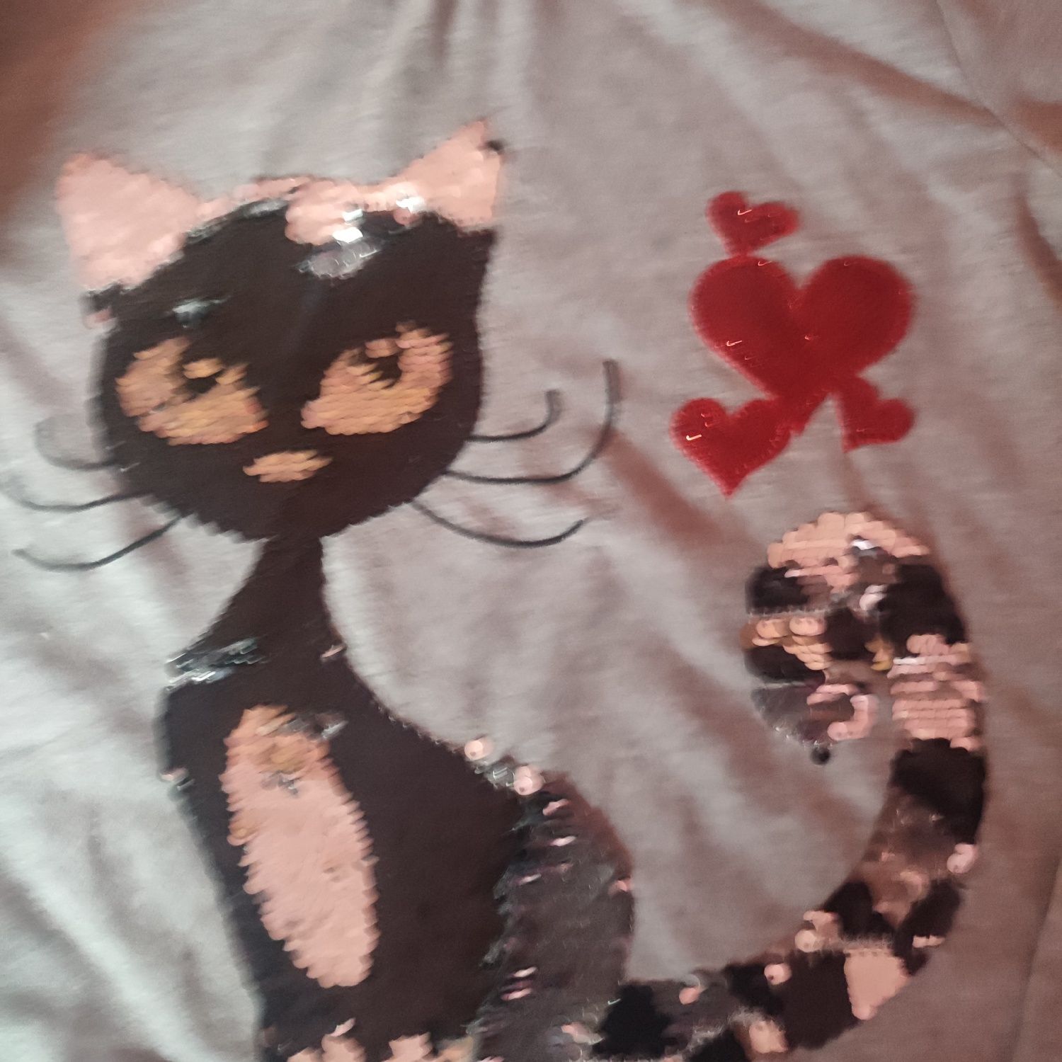 Bluza z  kotkiem cekiny