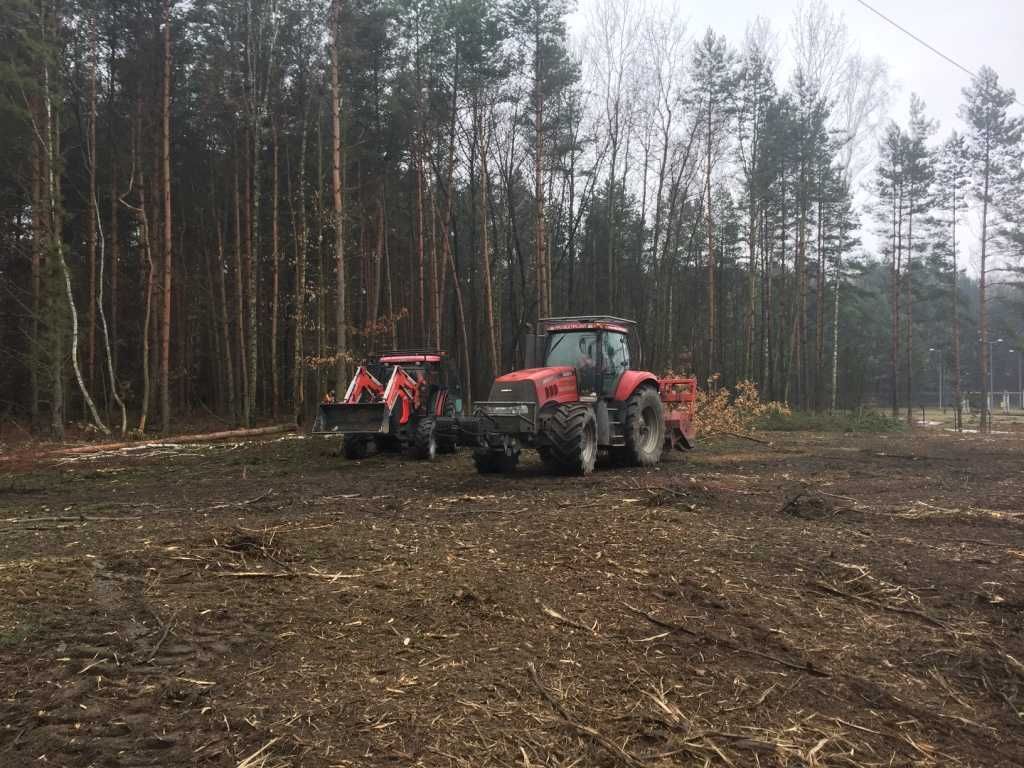 Usługi mulczowania i wycinka drzew (mulczer leśny, frezarka do pni)