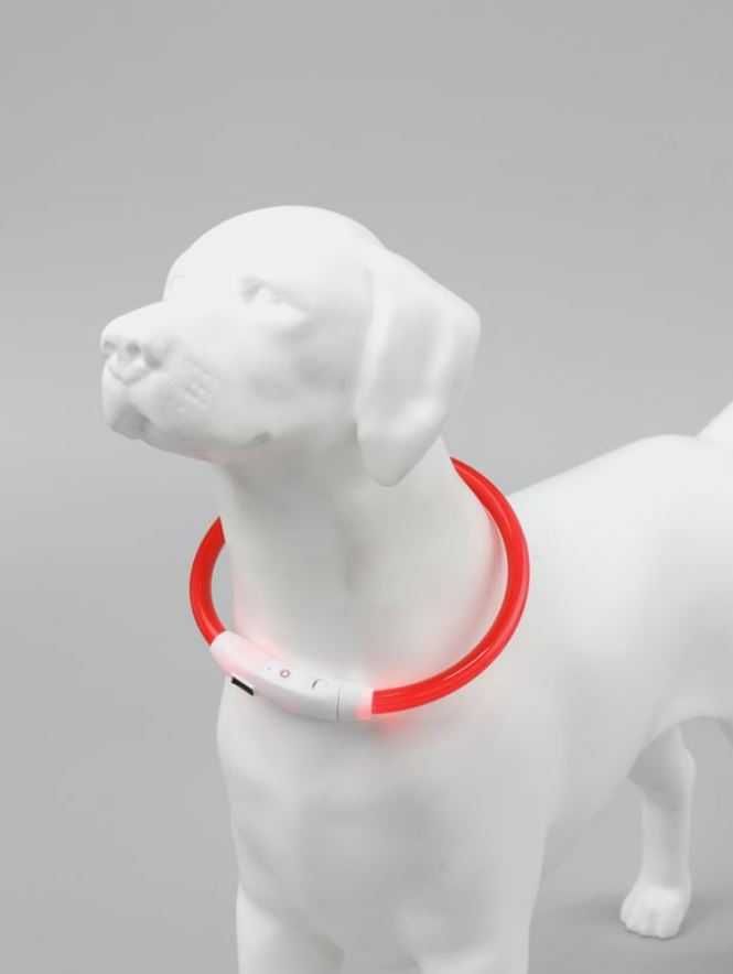 Універсальний LED нашийник з підсвічуванням для собак з USB Червоний