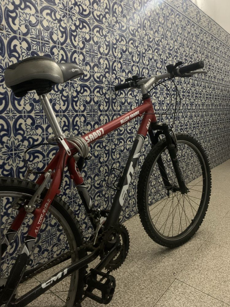 Bicicleta para adultos