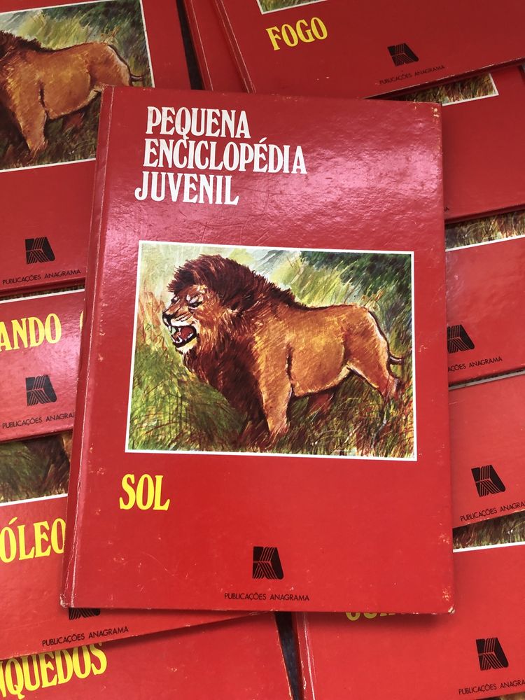 Pequena enciclopedia juvenil