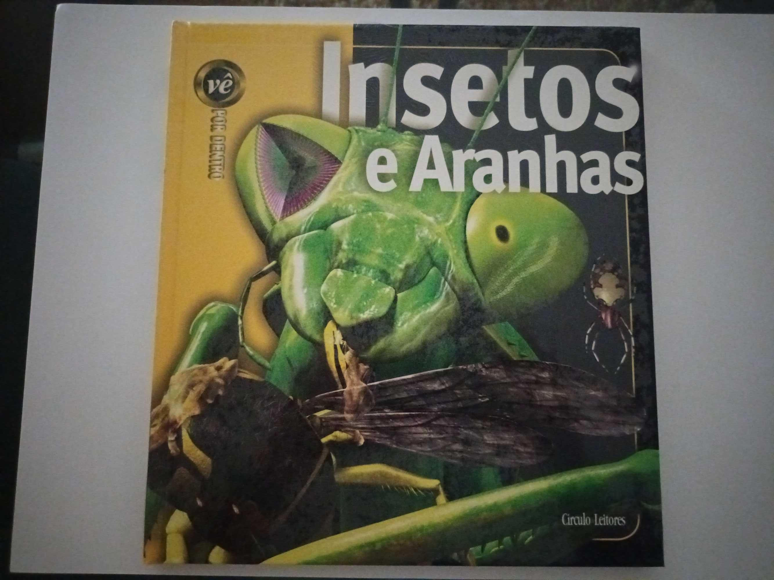 Vê por Dentro - Insetos e Aranhas