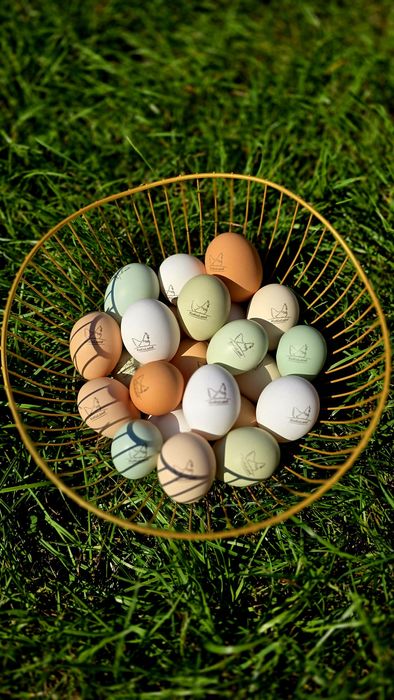 Jaja, jajka kolorowe wyjątkowe pyszne