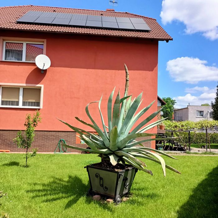 Stalowa donica na kołach