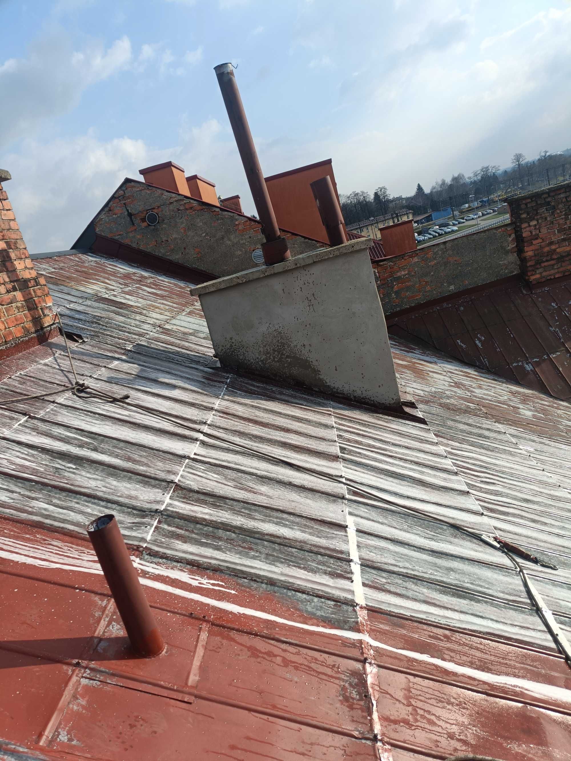 Malowanie Dachów ,Ogrodzeń,Elewacji ,fotowoltaika , korektory