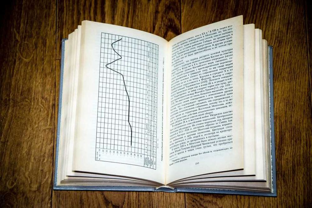 Гумилев, Л.Н. Ритмы Евразии. Эпохи и цивилизации