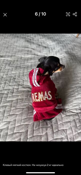 Одяг для собак , комбінезон, костюм