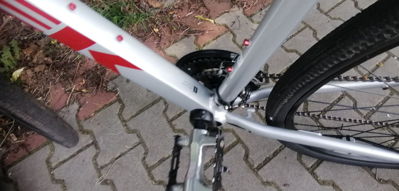 Rower trek dual sport 1