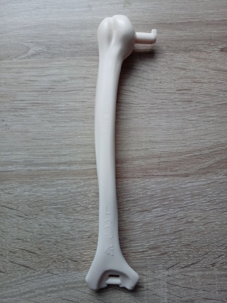 Lewa kość ramienna kostek szkielet ciało człowieka