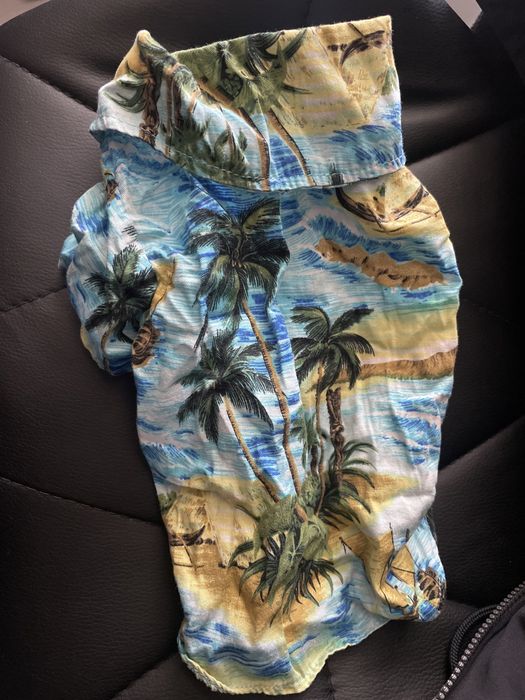 Одежда для мини йорка , маленьких собак одета 2 раза комбинезон зимний