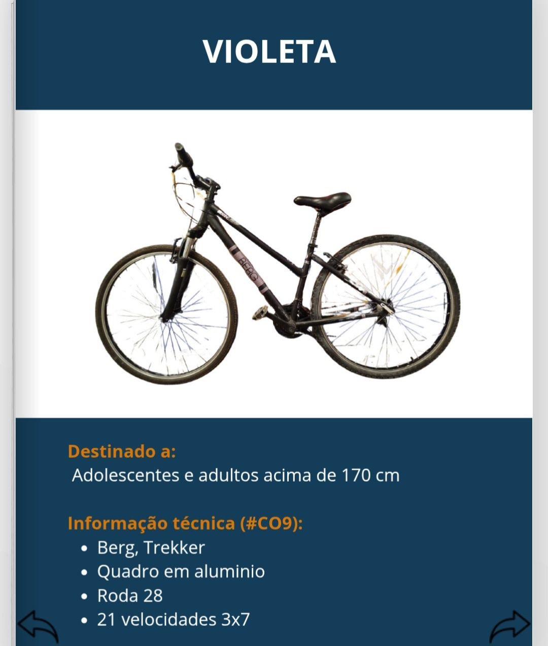 Bicicletas várias