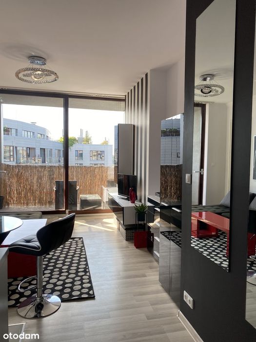 Triton Park , studio, bez prowizji, 10 piętro, od patio