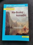 Lektura Nie-Boska komedia