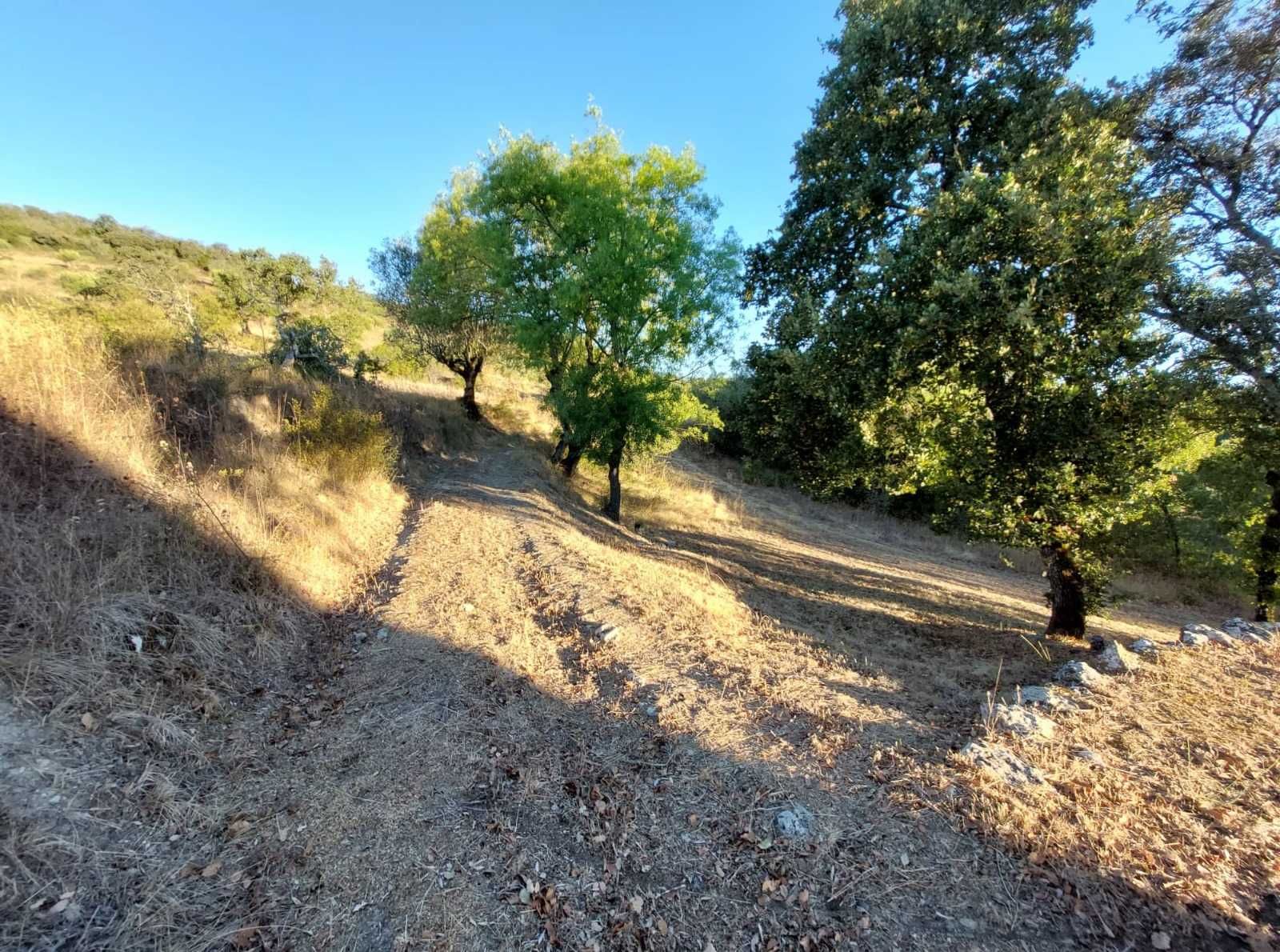 Terreno com ruína para reabilitar numa paisagem inspiradora