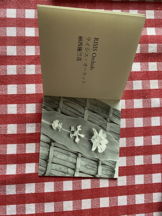 Набір прикрас RISIS: сережки та ланцюжок з підвіскою у формі орхідеї