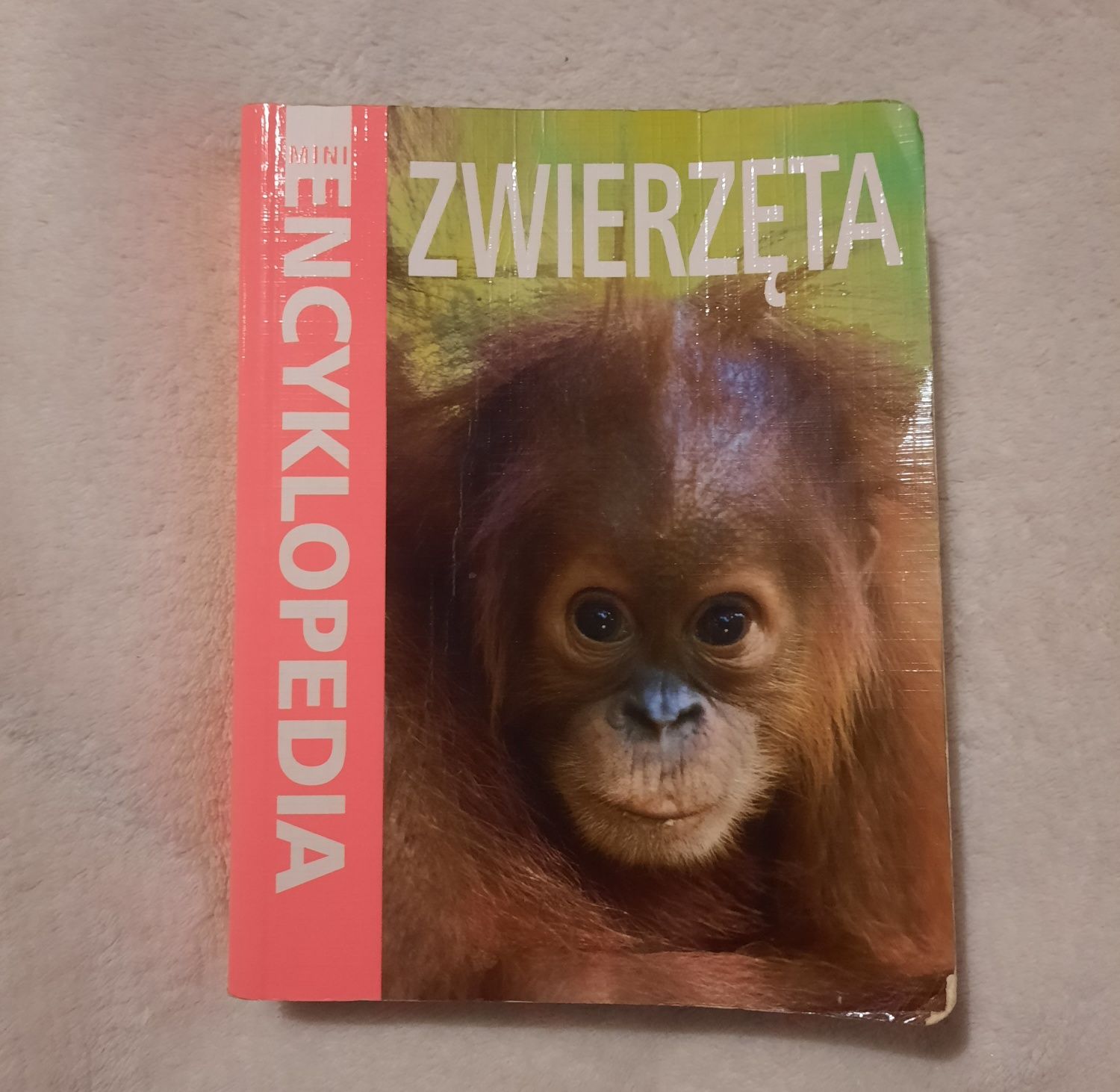 Mini encyklopedia Zwierzęta