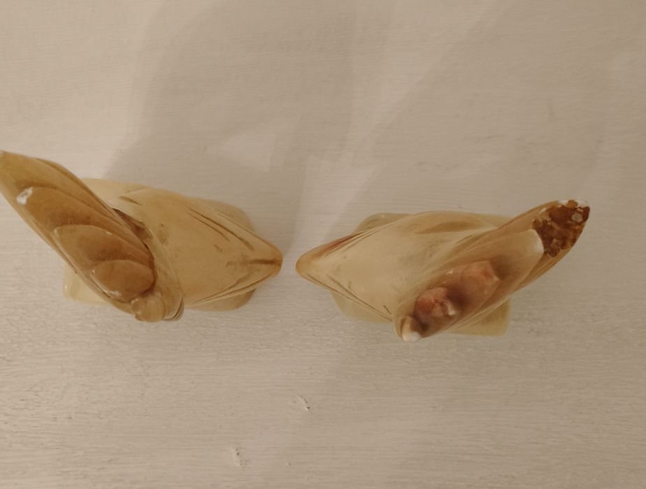 Pássaros decorativos vintage