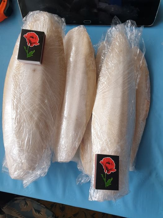 Сепія натуральна(панцир каракатиці,сепия,панцирь карака