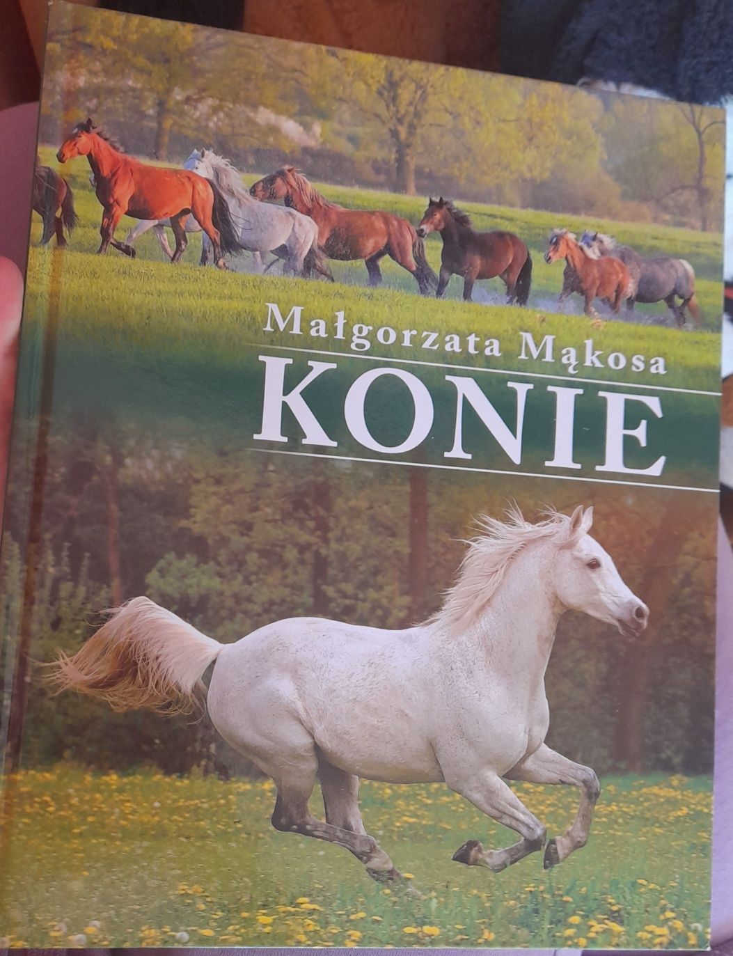 Książki o koniach