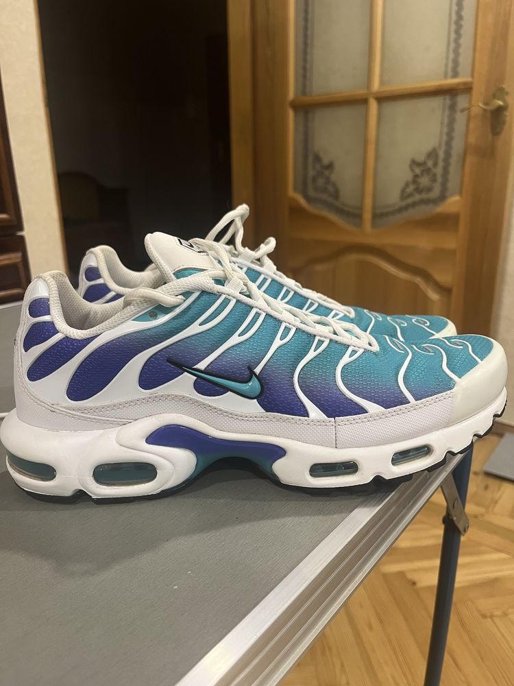 Чоловічі кросівки NIKE AIR MAX PLUS