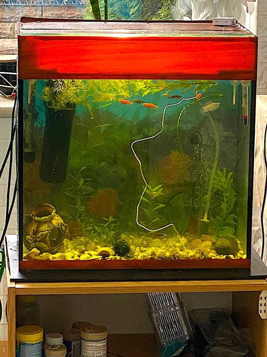 Продам .Акваріум. з тумбою.