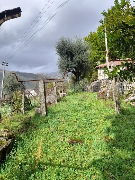 Vendono lindas vista 20000 euros