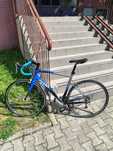 Rower Szosowy Giant Defy