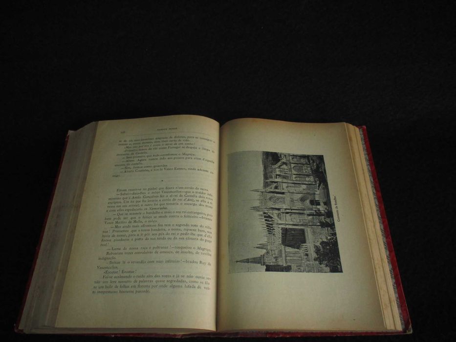 Livro A Ala dos Namorados António Campos Júnior