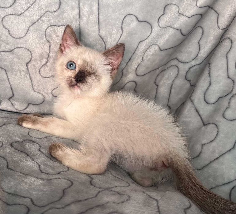 Особлива дівчинка шукає саму люблячу маму!