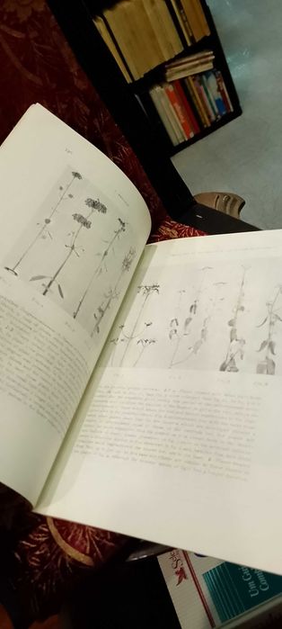 Contribuition to the Physiology of Development  Flower