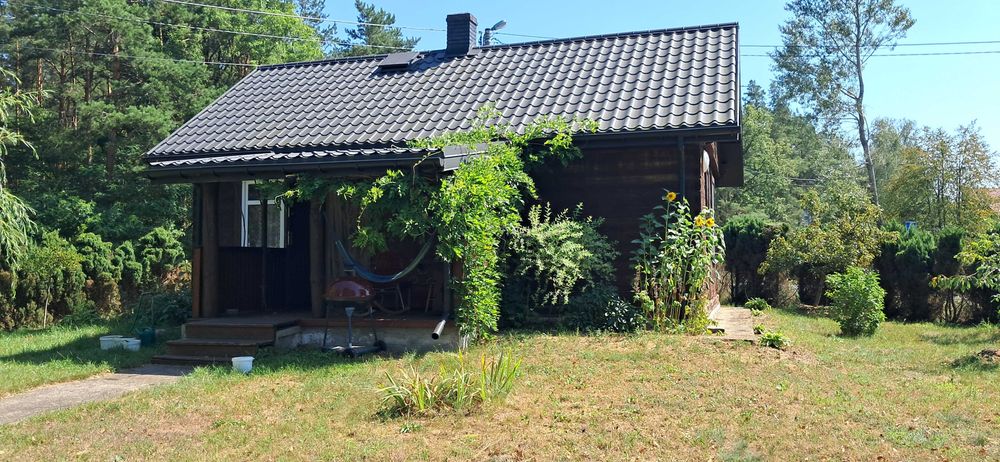 Siedlisko z domem i zabudowaniami – 2 625 m² – Dudowizna