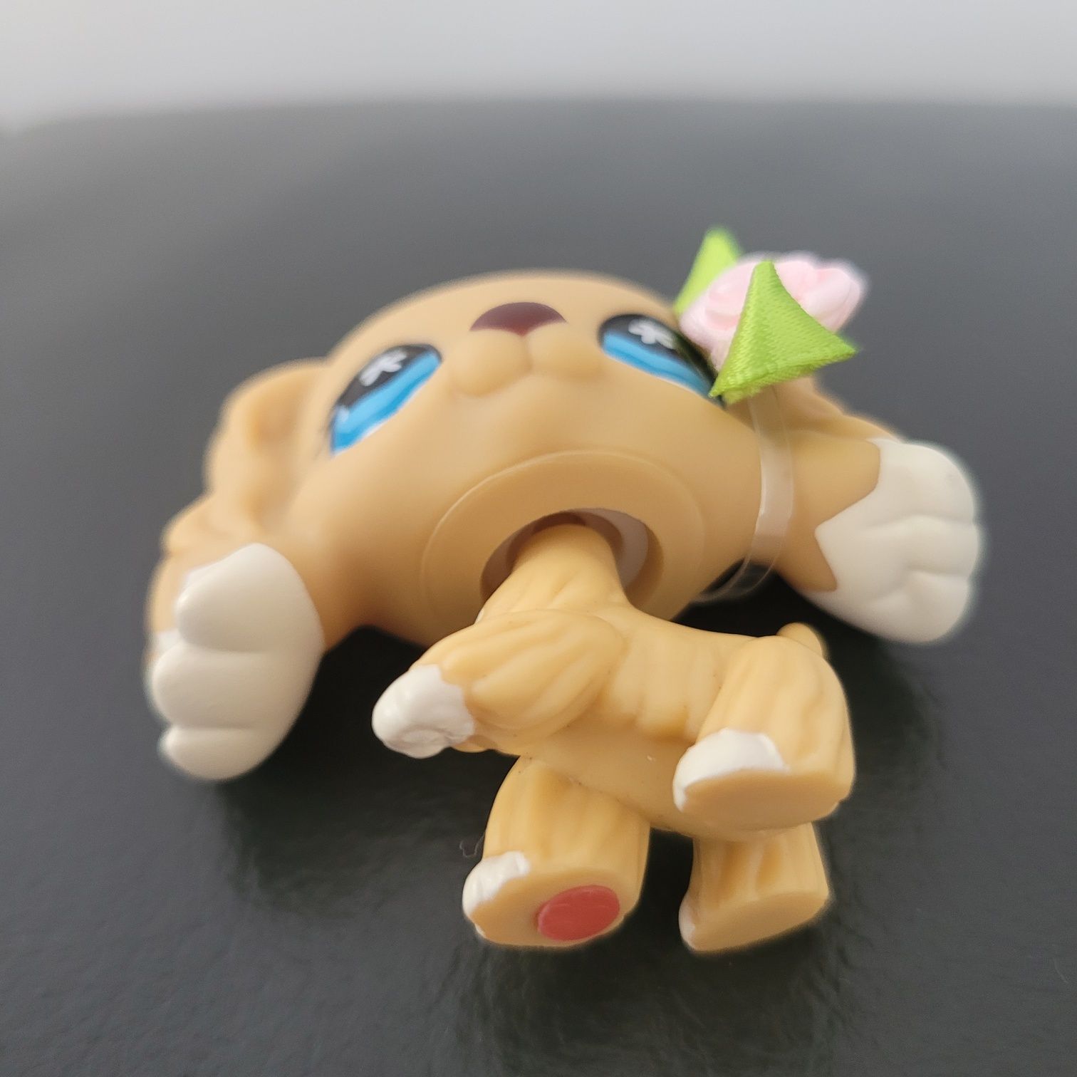 Lps pop unikat spaniel  #748