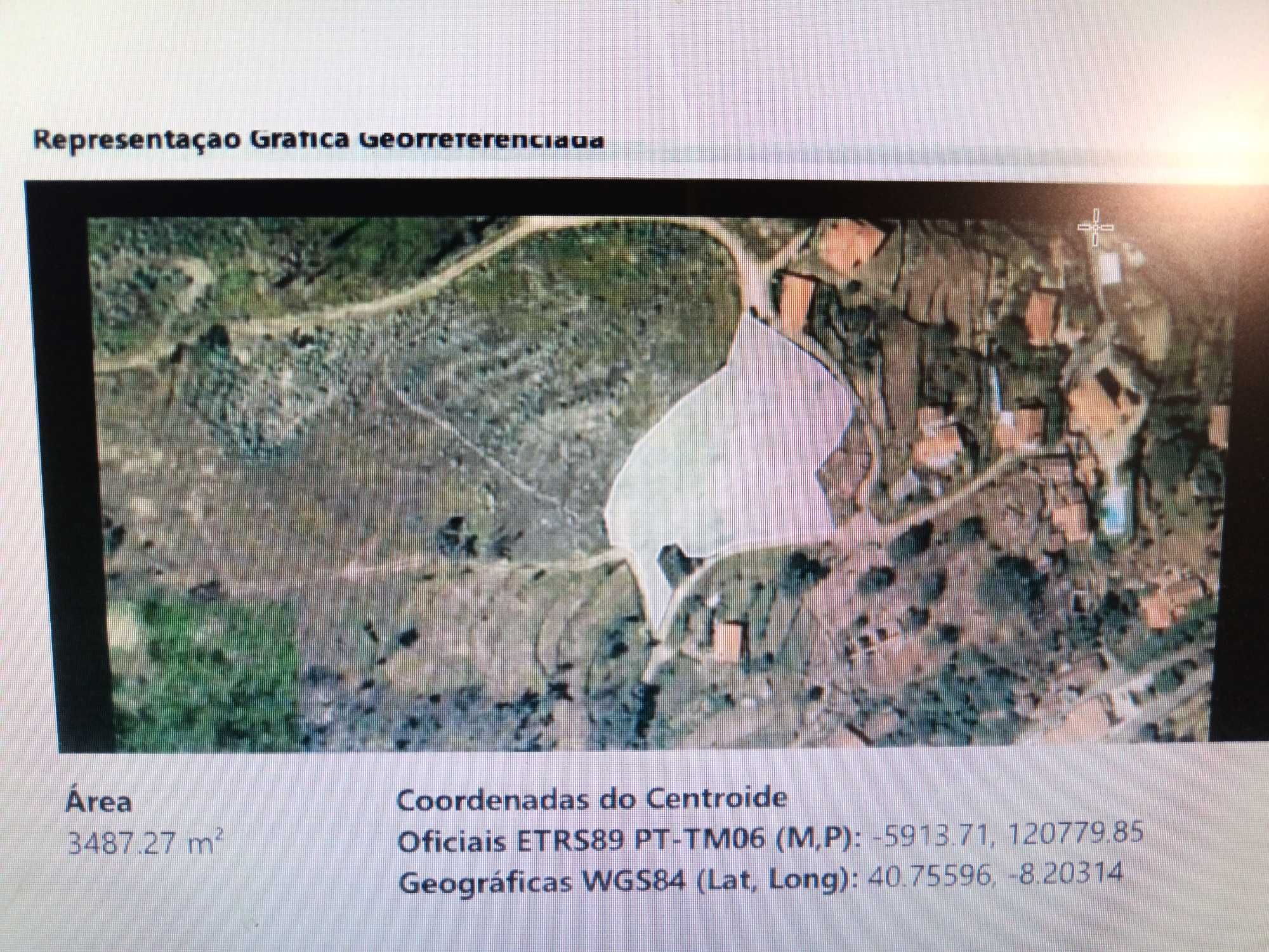 Quinta com casa, terrenos e pinhais