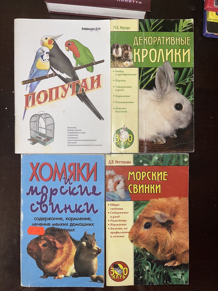 Книги Авраменко Городецька