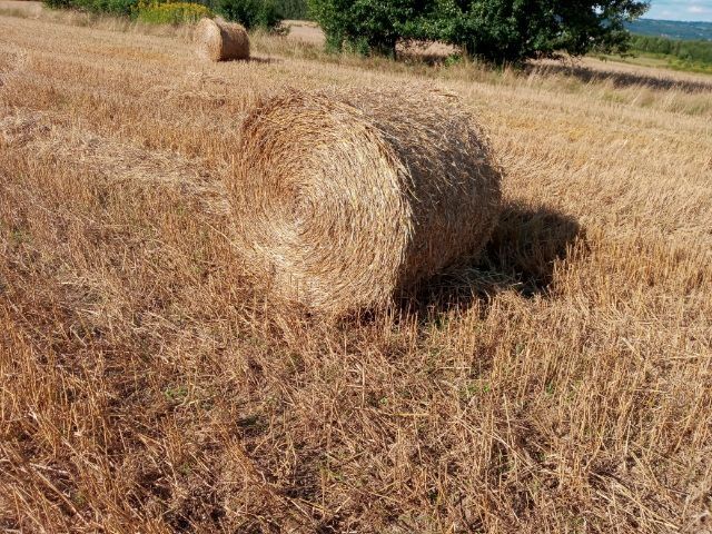 Sprzedam słomę w belach pod plandeką