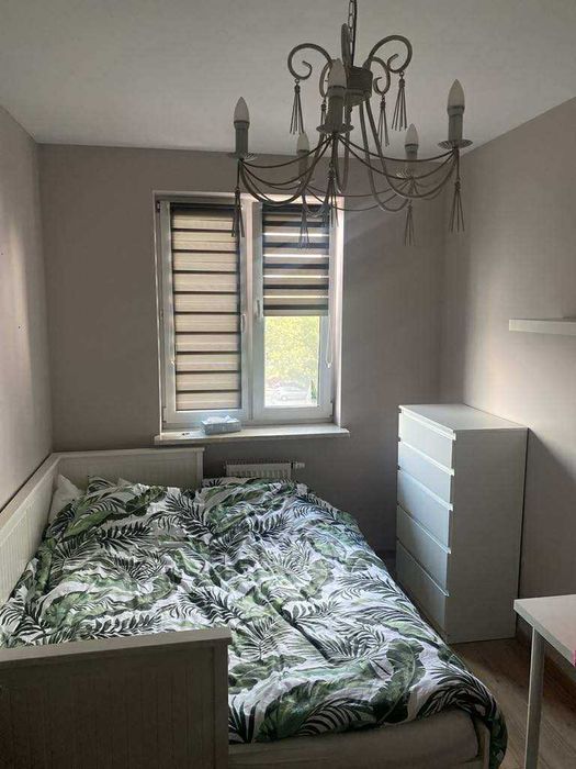 Wynajmę mieszkanie 43m2 w Wyszkowie