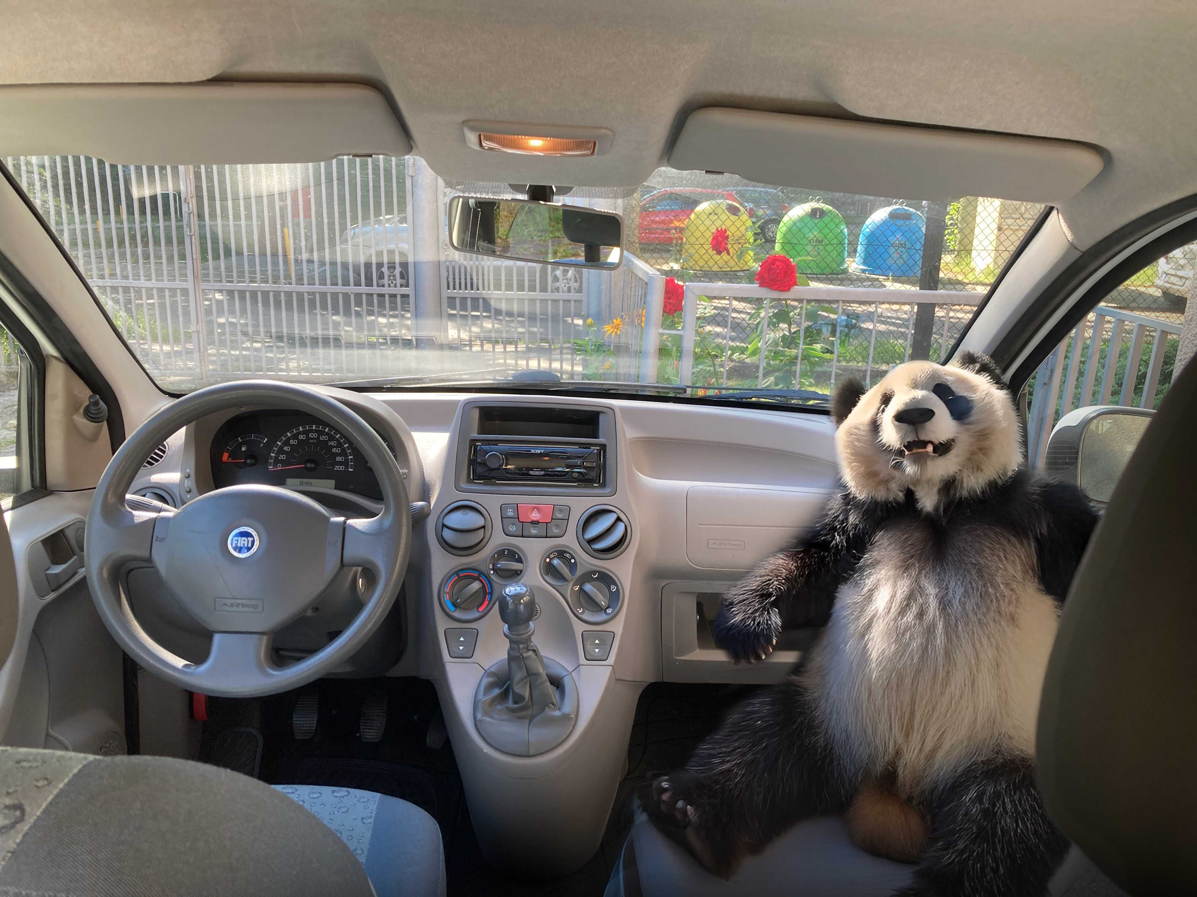 Fiat Panda 1.1, 2004r.