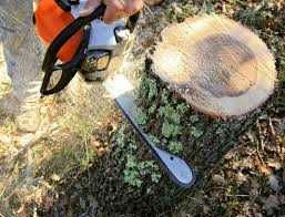 Розчищення ділянок Зрізання обрізка дерев Подрібнення гілок