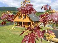 Dom w górach na wynajem Pieniny  Gorce  Szczawnica, 14 osób, sauna