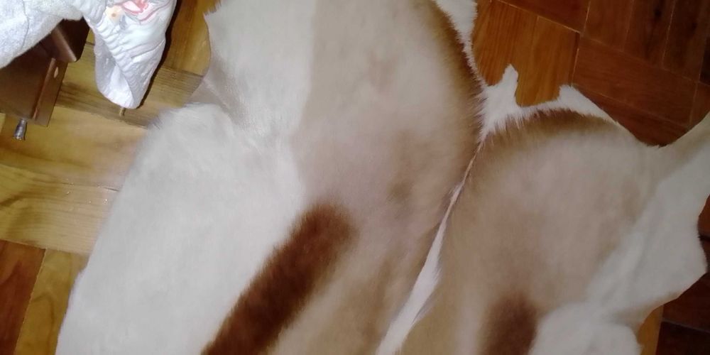 Tapete de pele antílope