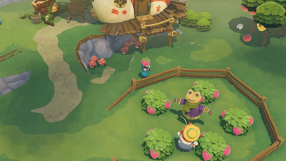 Time on Frog Island (XONE/XSX) Gra nowa w folii