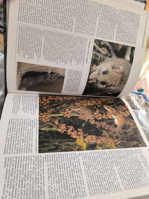 Coleção de livros de animais