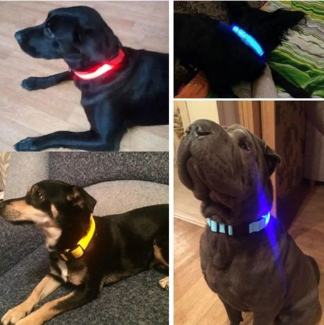 Светящийся LED ошейник для собак, амуниция