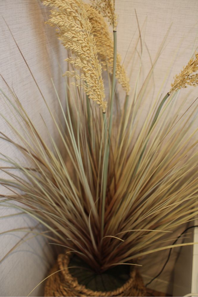 Vaso decorativo com plantas secas