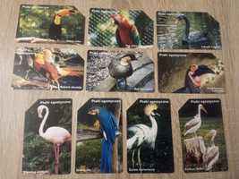 Karty telefoniczne - Ptaki egzotyczne
