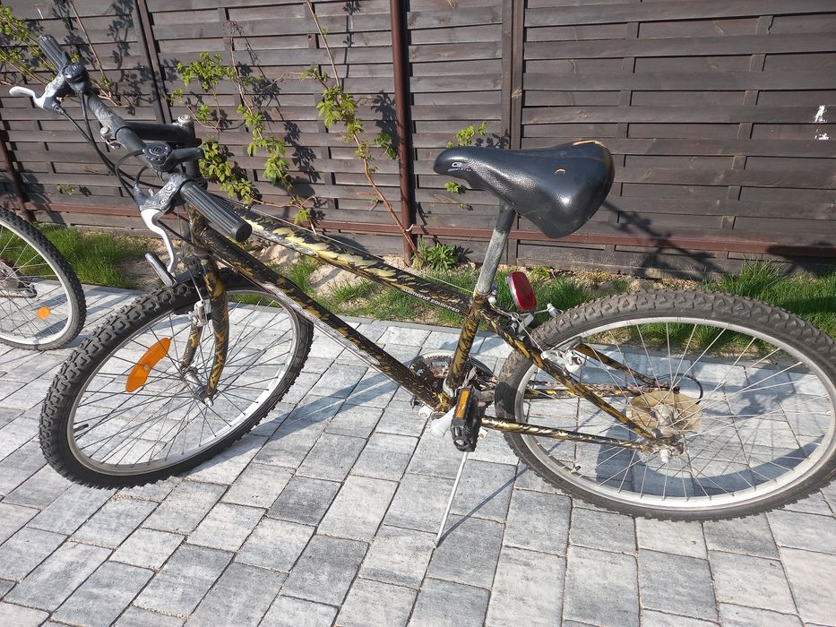 Rower Z przerzutkami