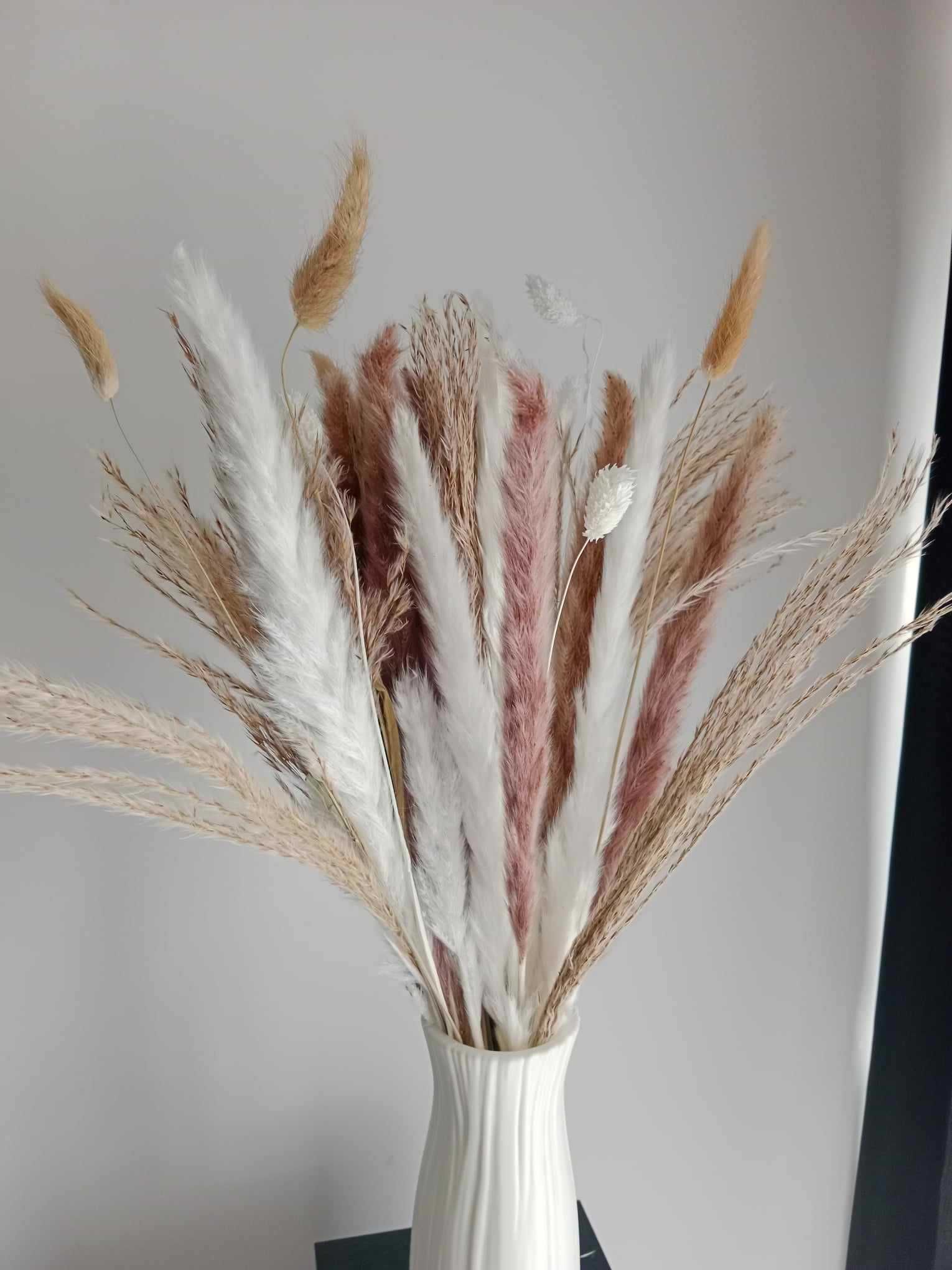 Trawa pampasowa suszone kwiaty do wazonu 50 sztuk dmuszek miskant