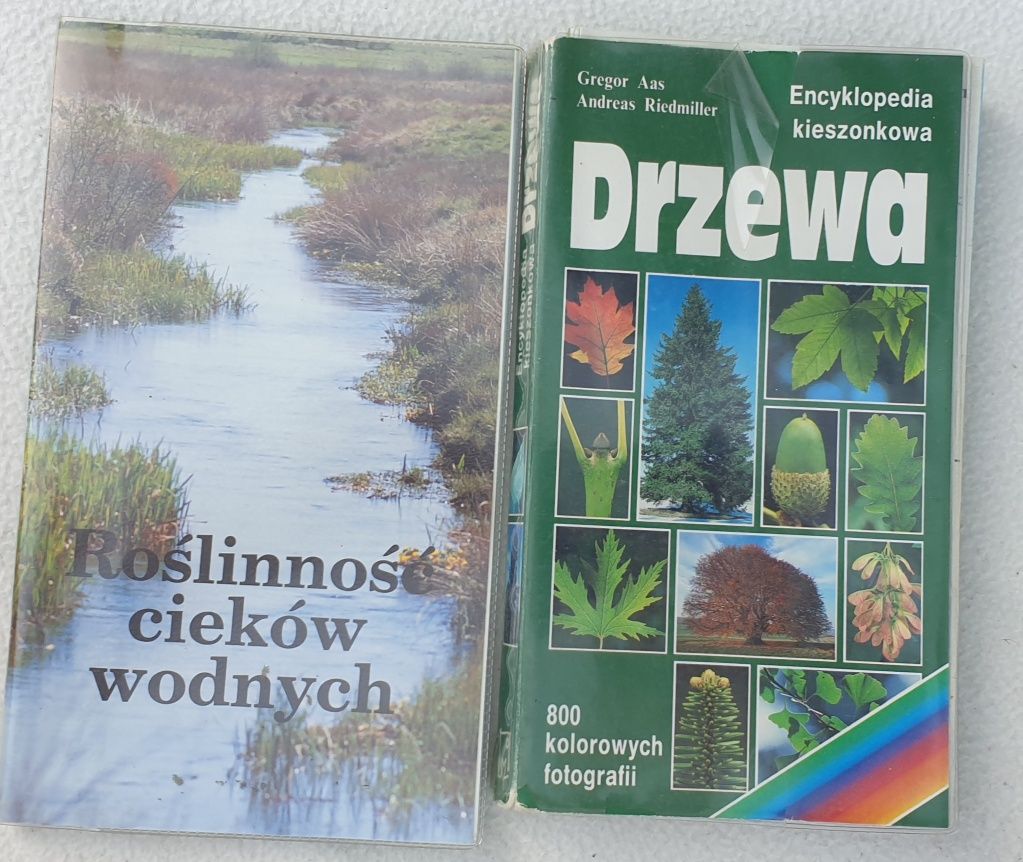 Drzewa encyklopedia kieszonkowa