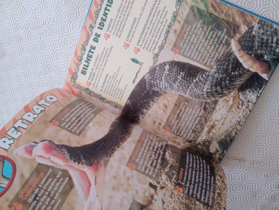 Livro Mundo maravilhoso dos Animais Disney As Cobras