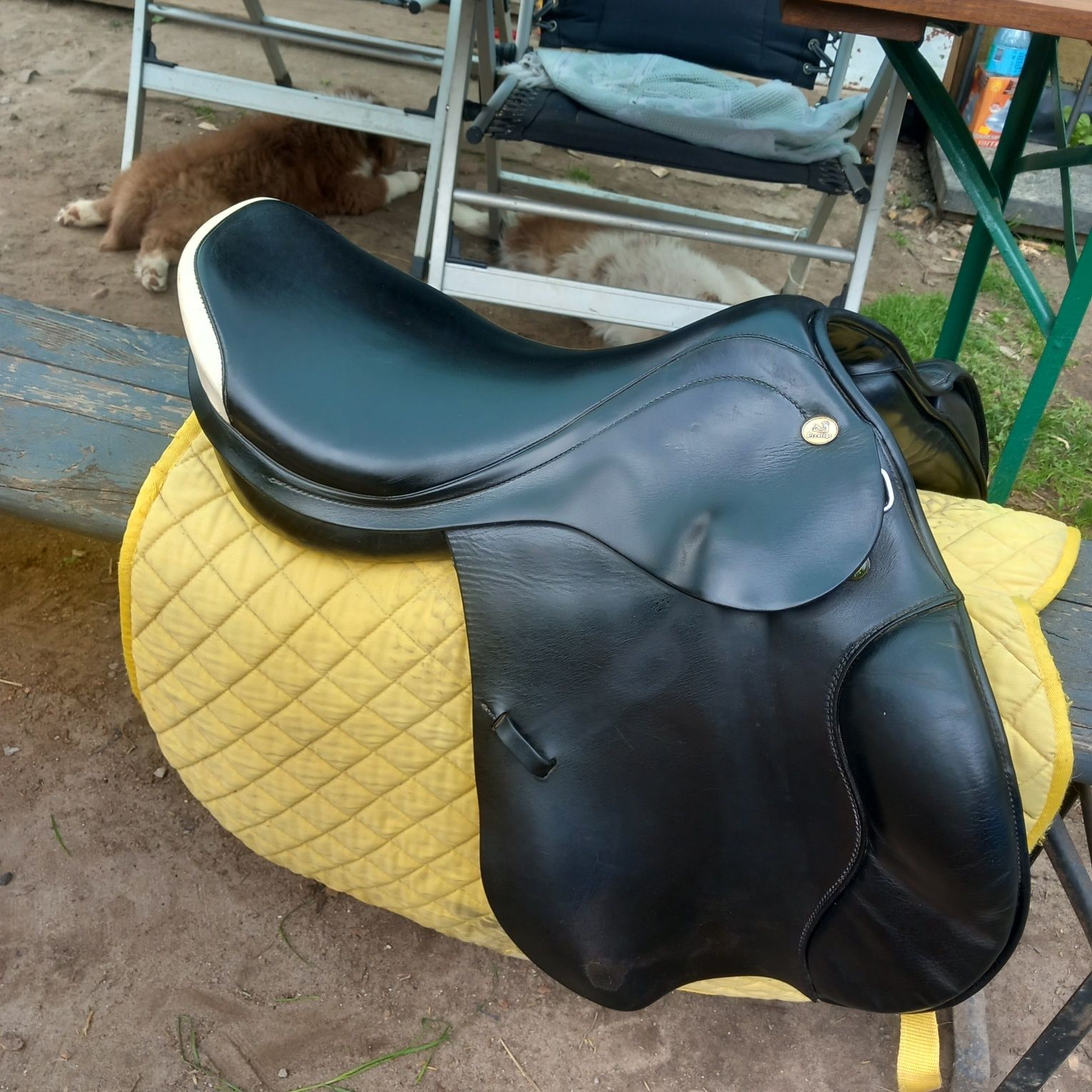 Siodło Prestige Rialto 17" 32